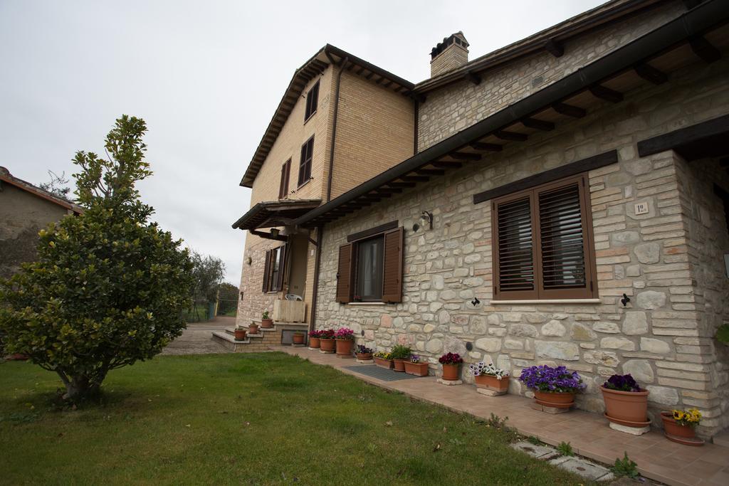 Assisana Affittacamere Santa Maria Degli Angeli  Eksteriør billede